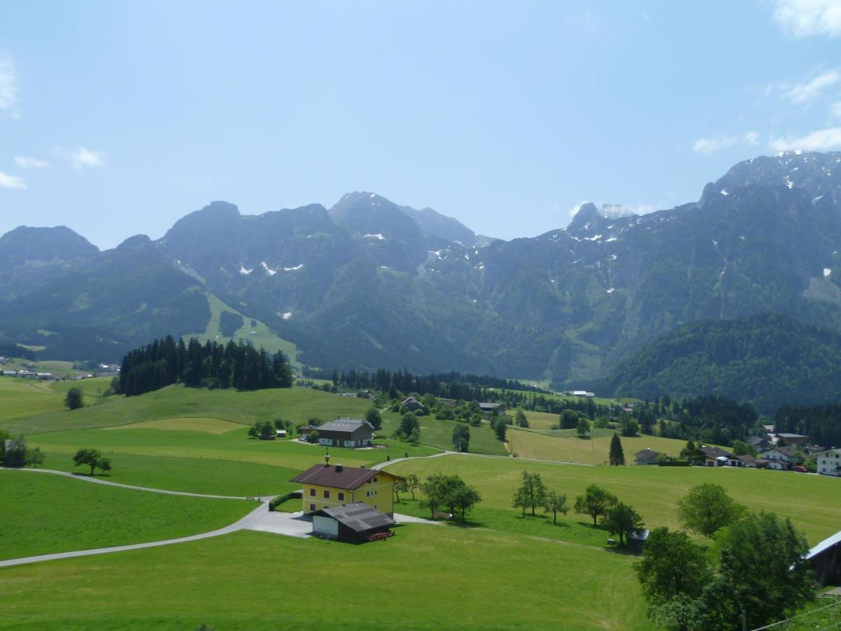 Apartement Obweghof Abtenau, Salzburger Land 外观 照片