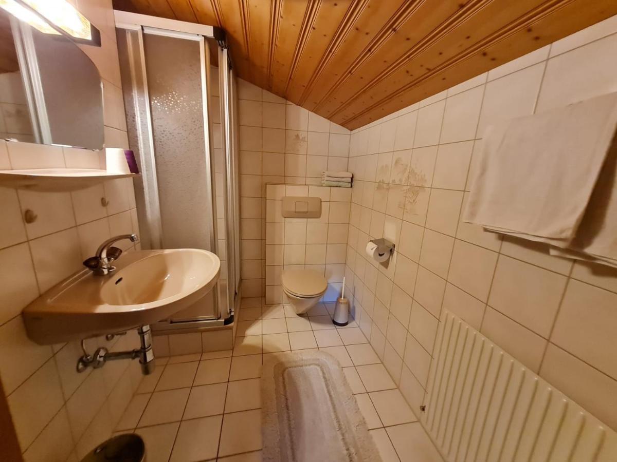 Apartement Obweghof Abtenau, Salzburger Land 外观 照片
